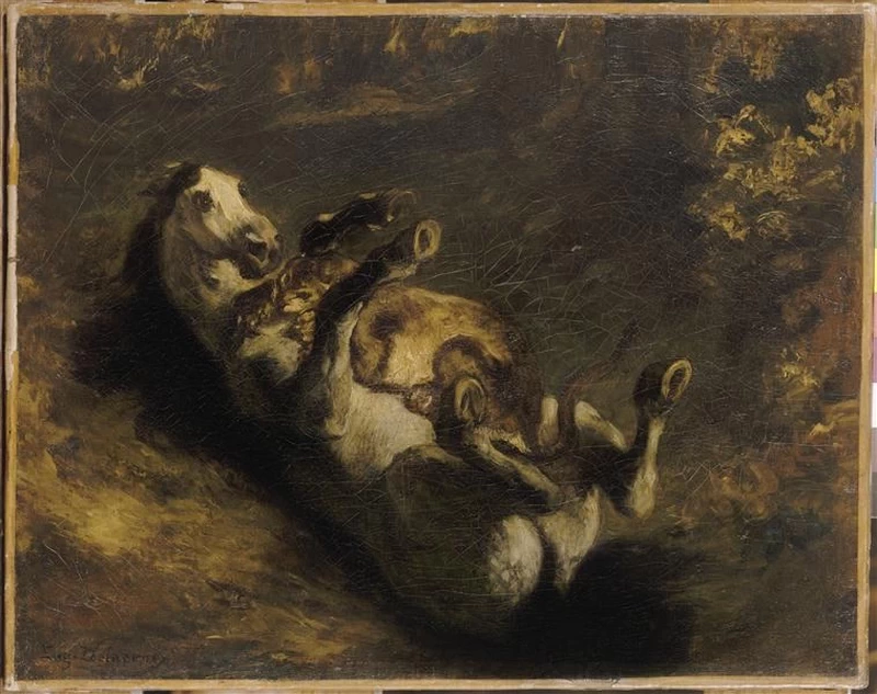 Cavallo attaccato dal leone